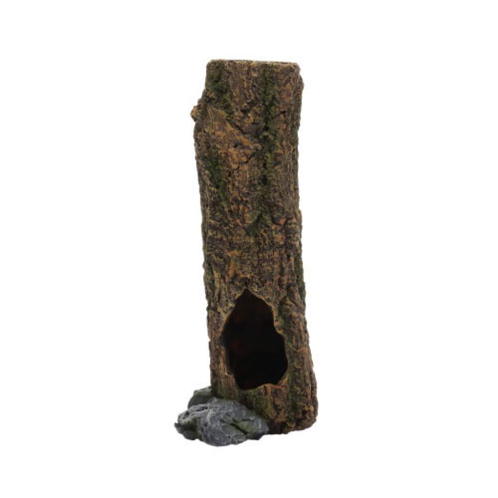 Cork Trunk