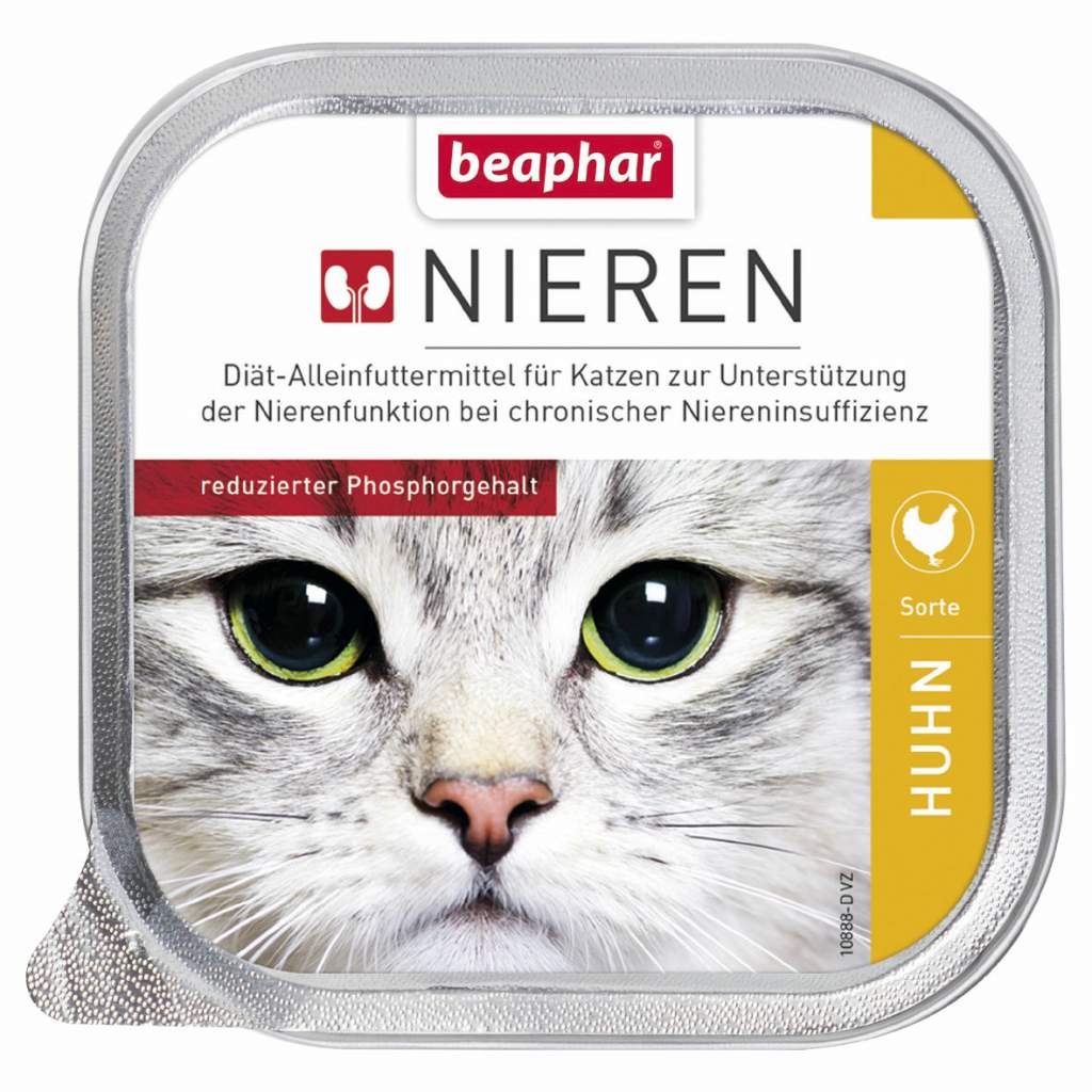Nierendiät +