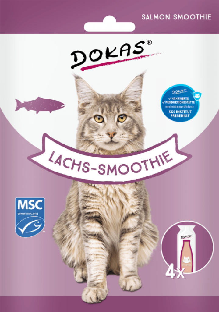 Lachs-Smoothie
