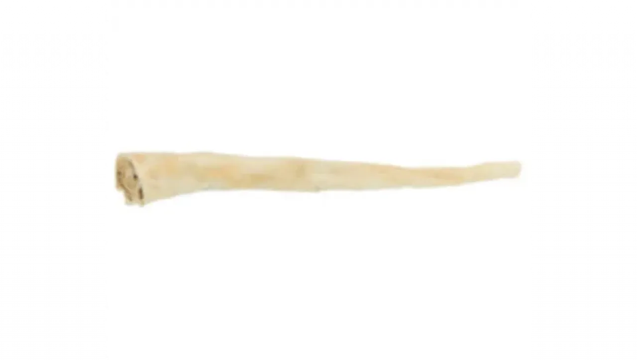 Jahn: Büffelschwanz, getrocknet 30 cm