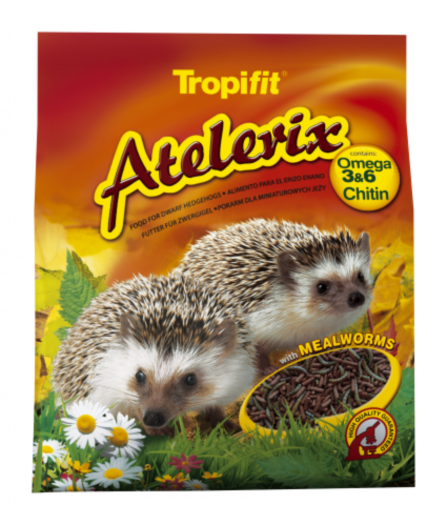 Atelerix