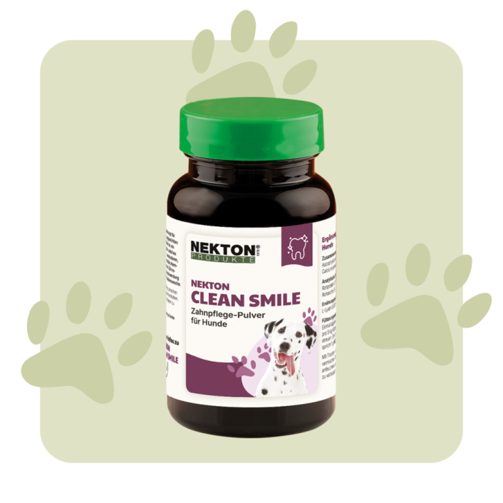 NEKTON-Clean-Smile