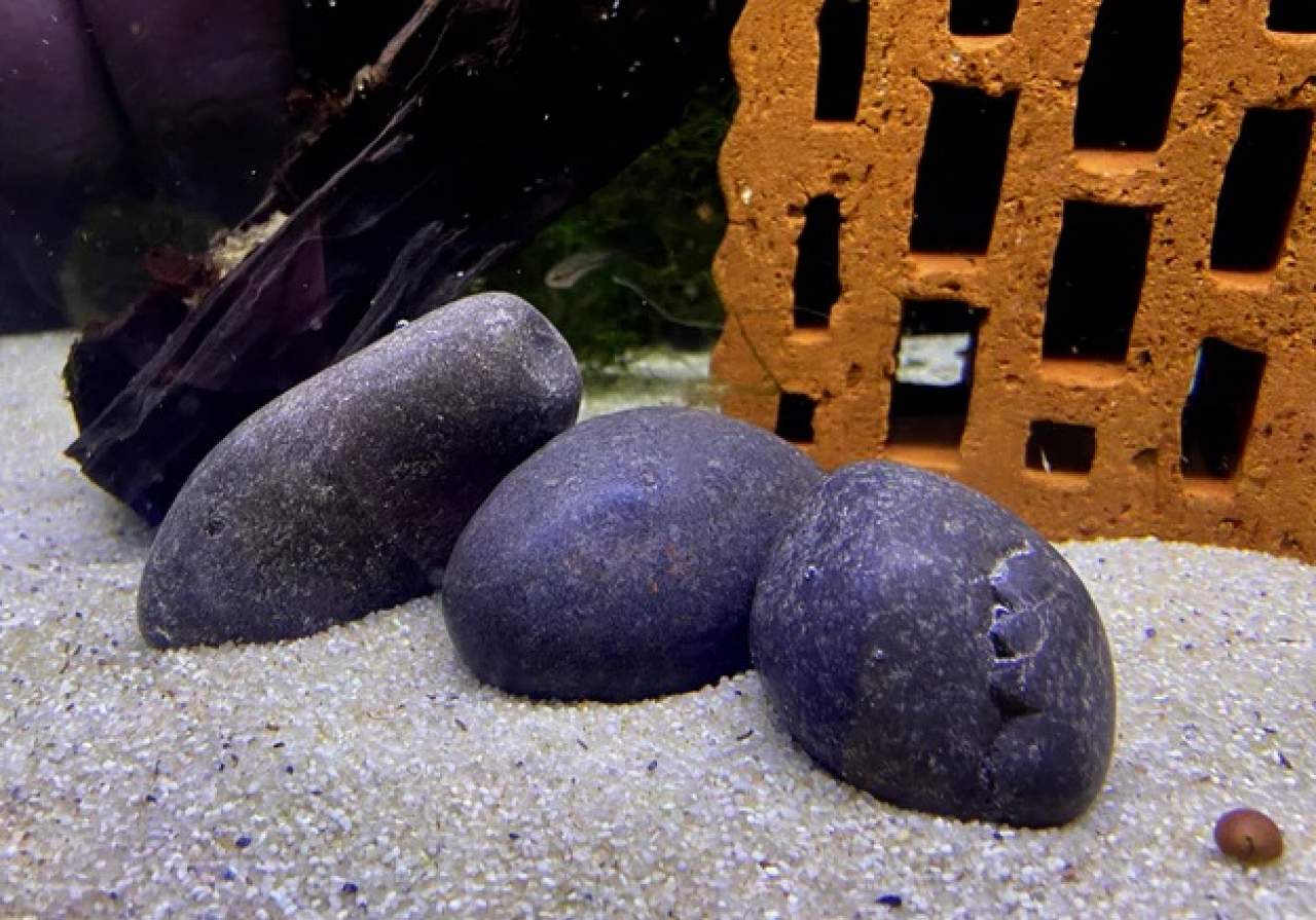 River-Pebbles