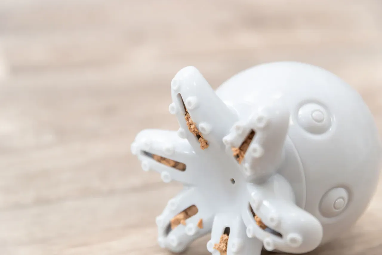 Snack-Oktopus