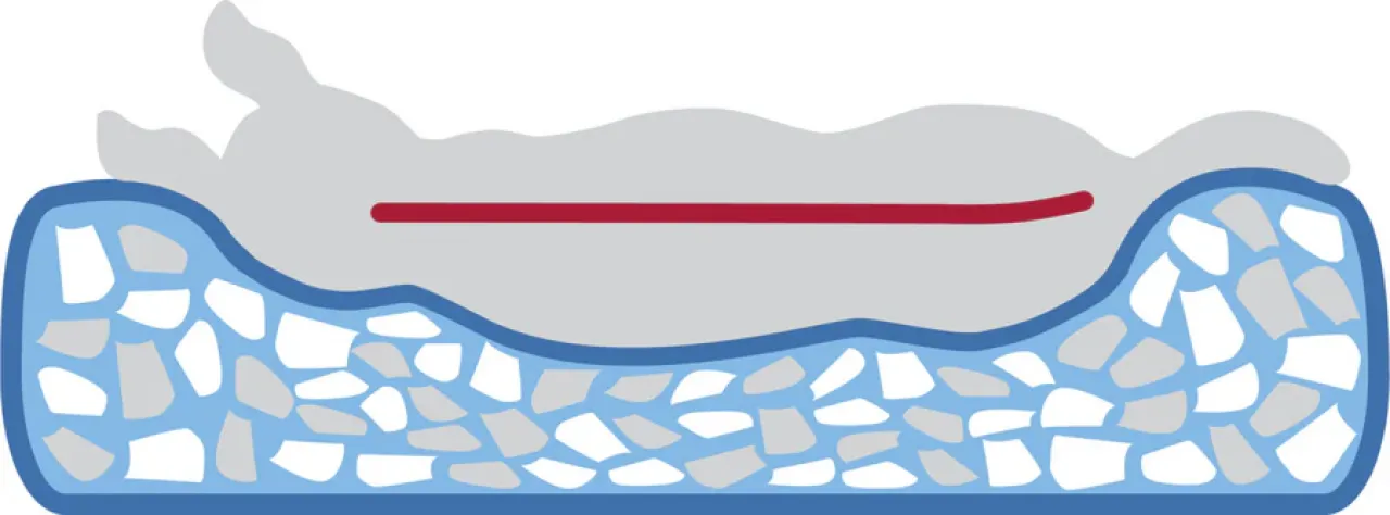 Vital Höhle Noah