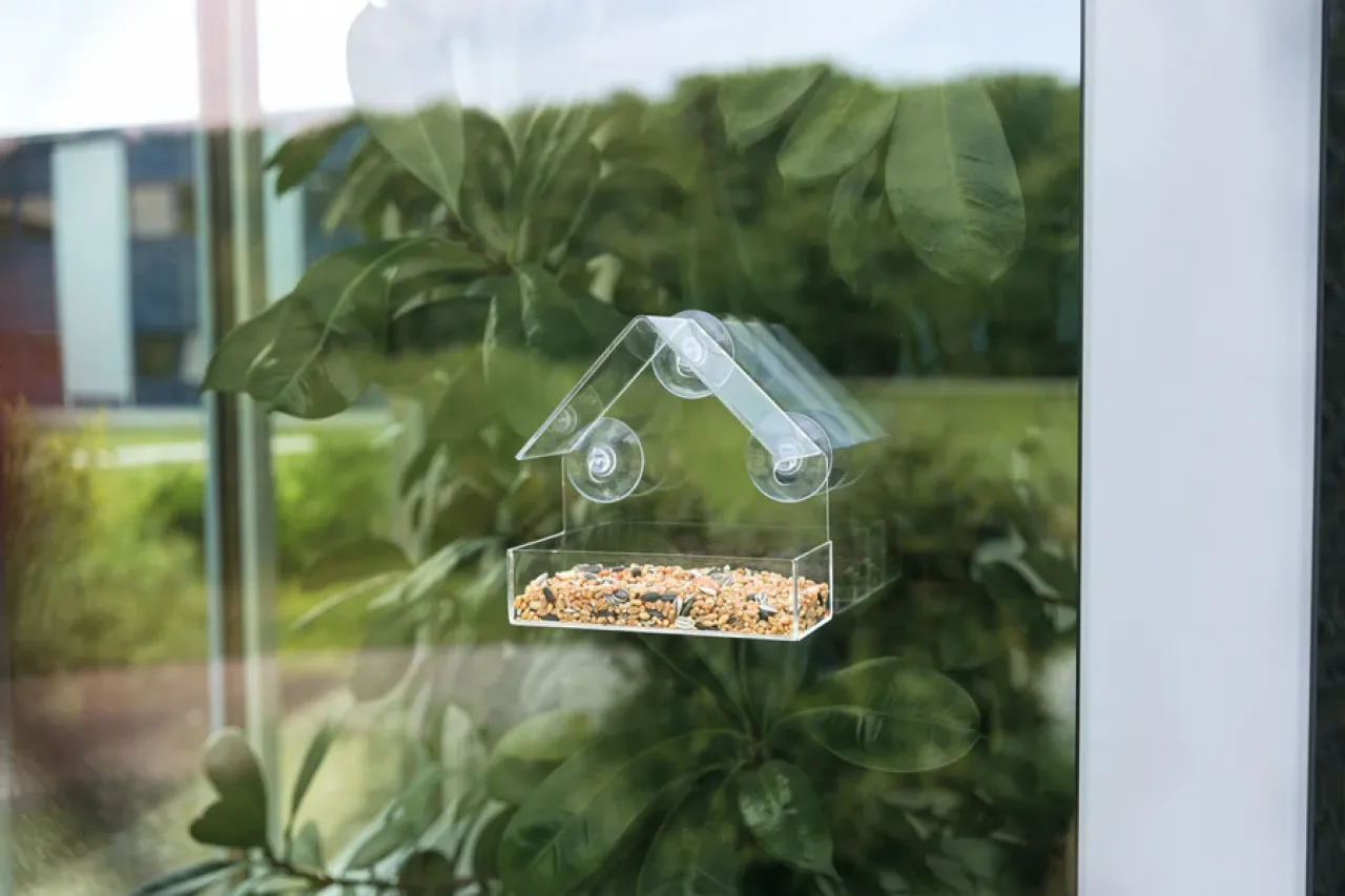 Futterhaus für Fensterscheibe