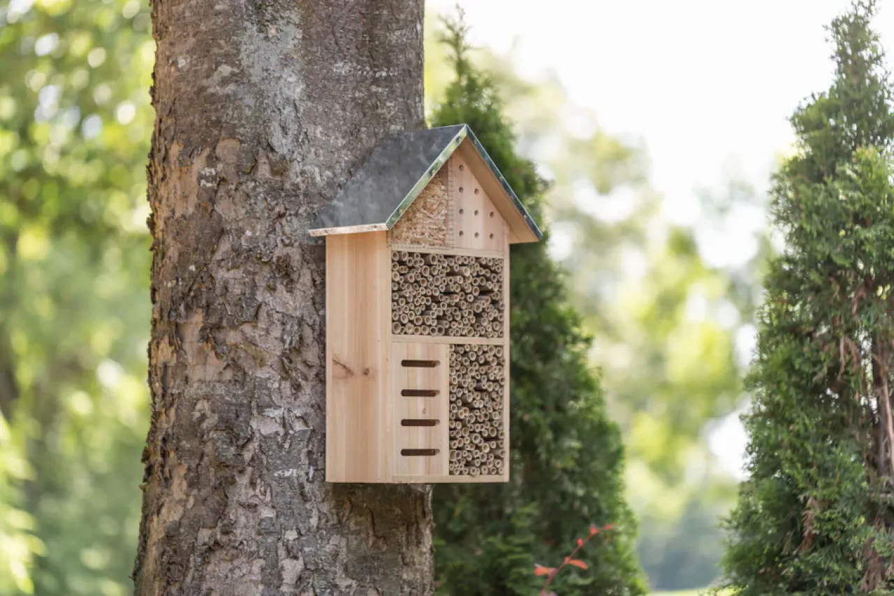 Insektenhotel