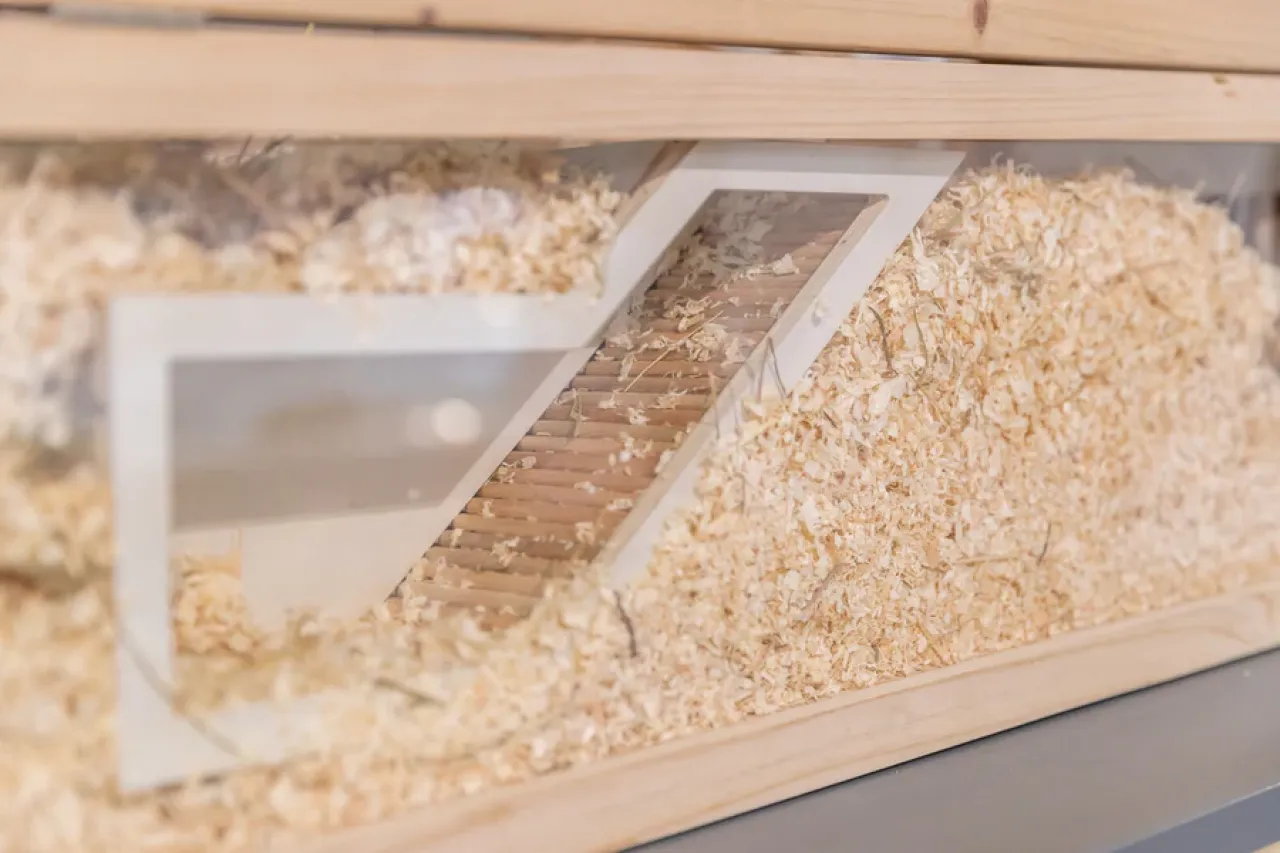 Watchbox