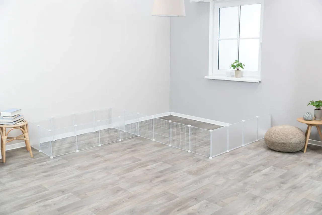 Indoor Freilaufgehege
