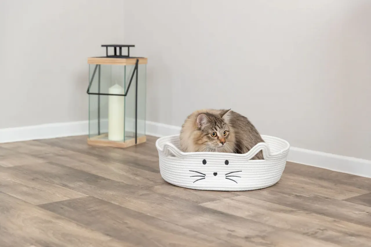 Katzenkorb