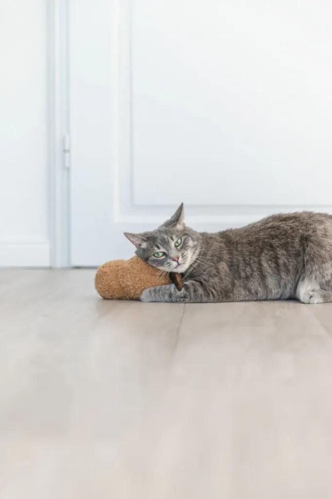XXL Plüsch-Erdnuss mit Gesicht und USA-Katzenminze für große Katzen