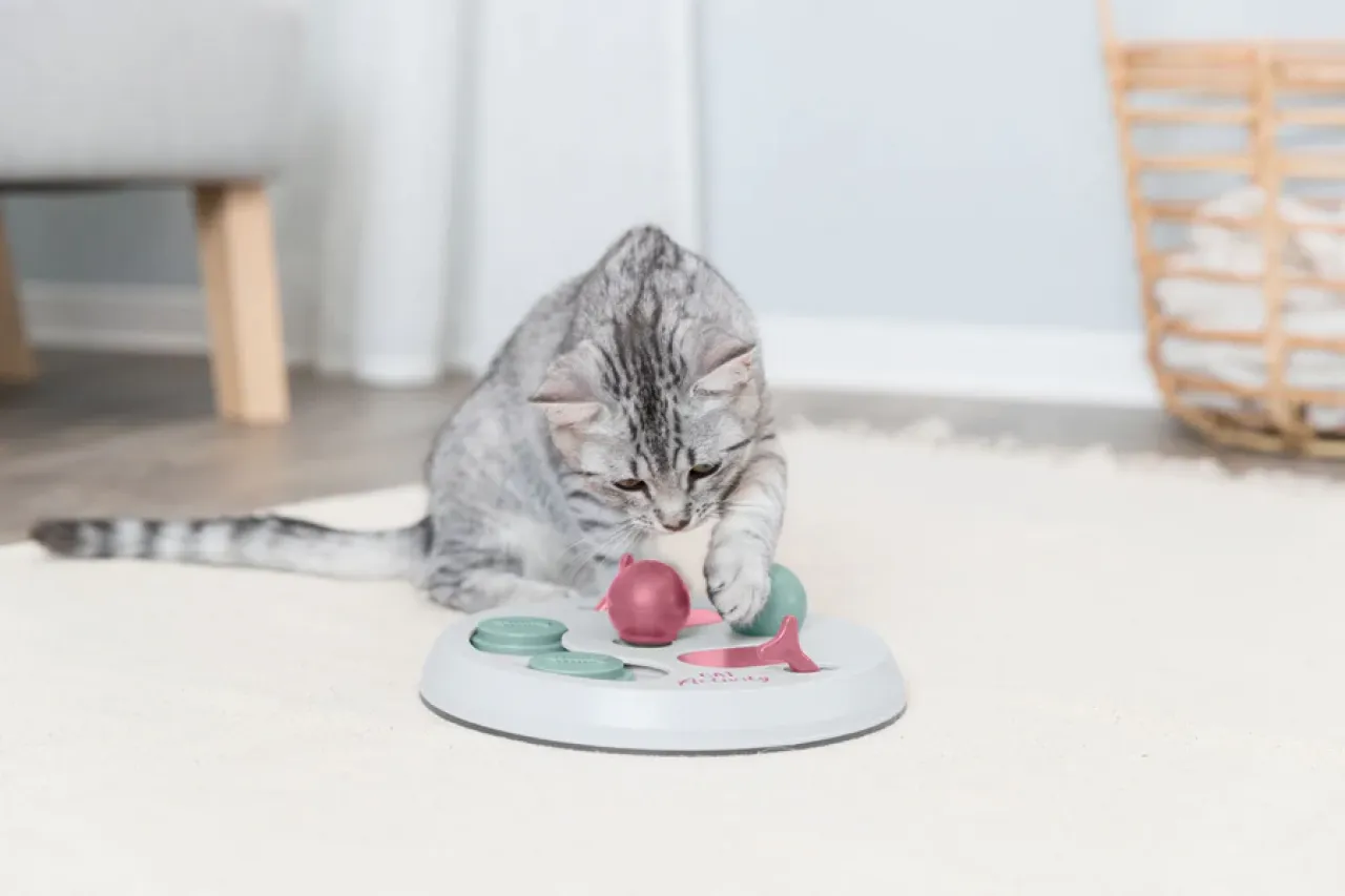 Flip Board Katzenspiel
