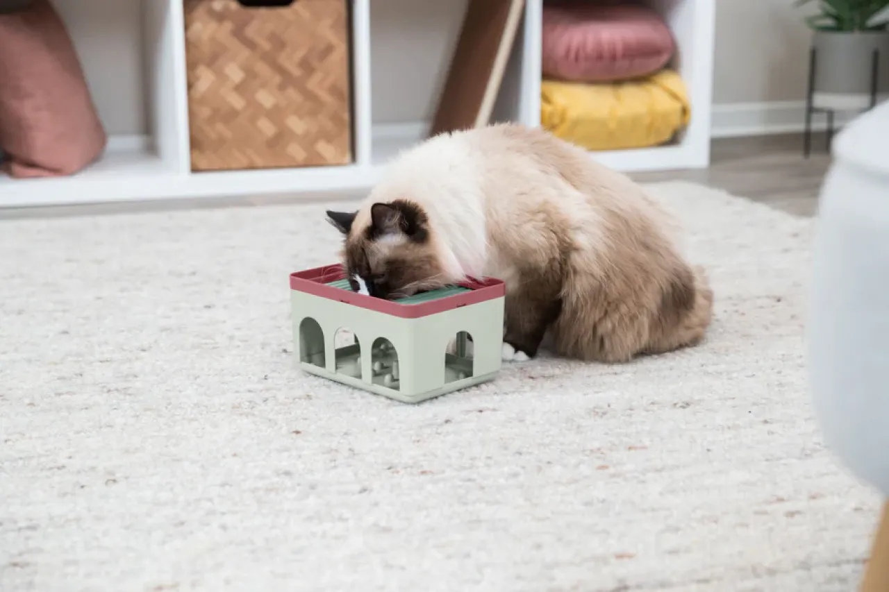 Rod Box Katzenspiel