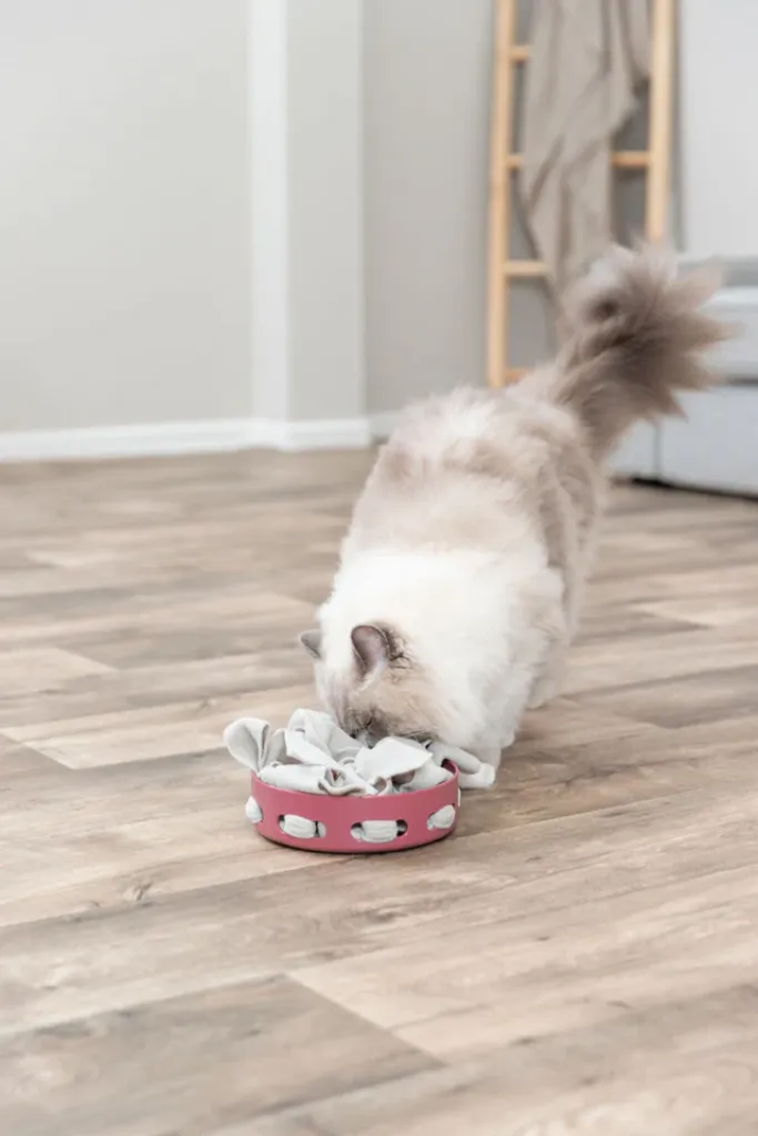 Hide'n'Sniff Bowl