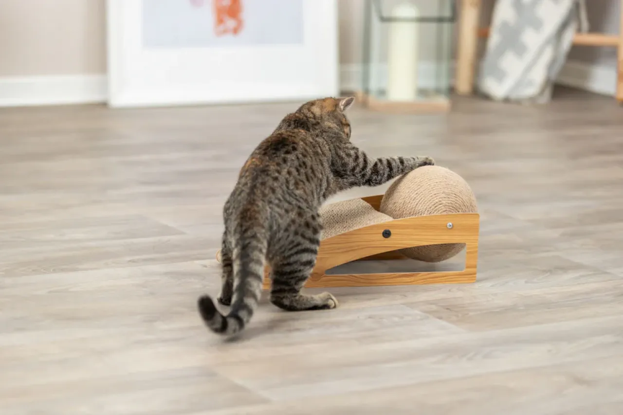 Kratzrampe mit Ball