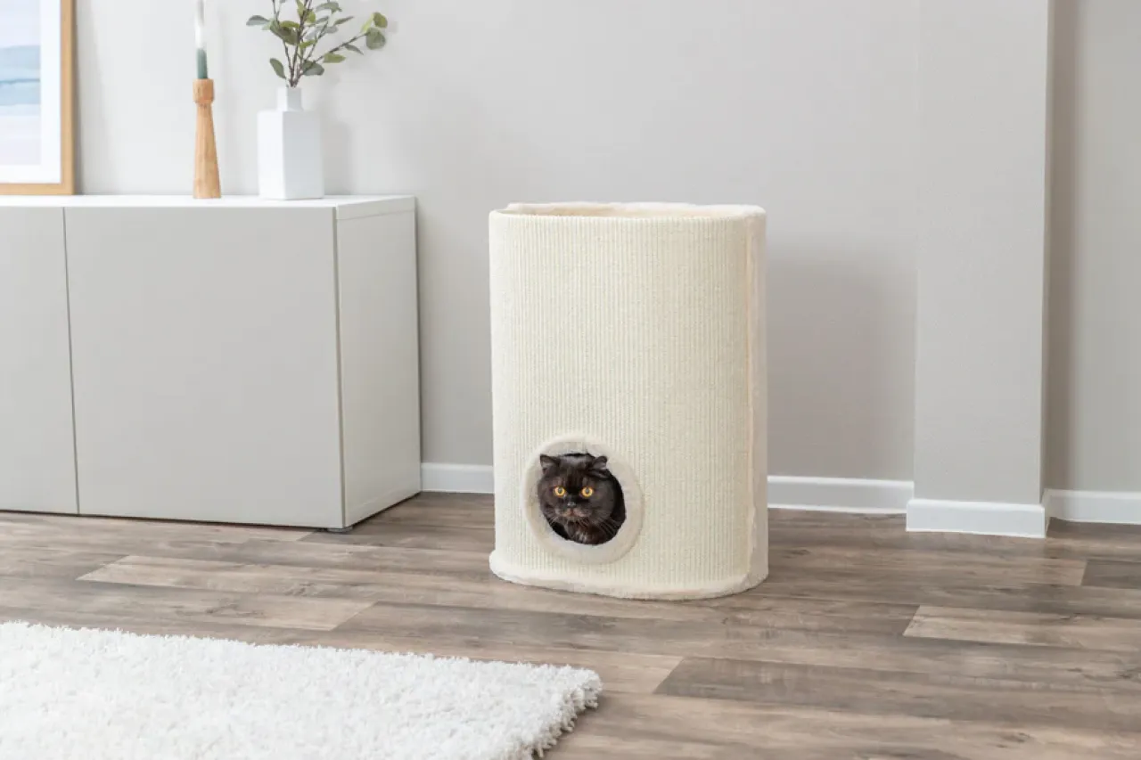 Cat Tower Arina