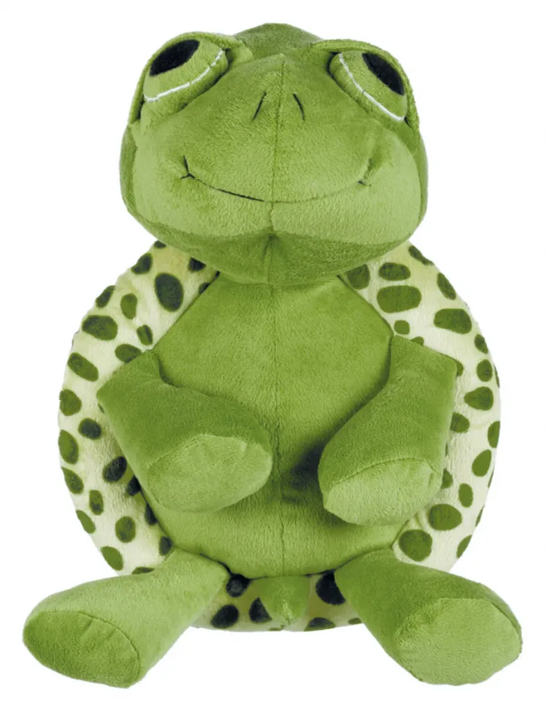 Schildkröte