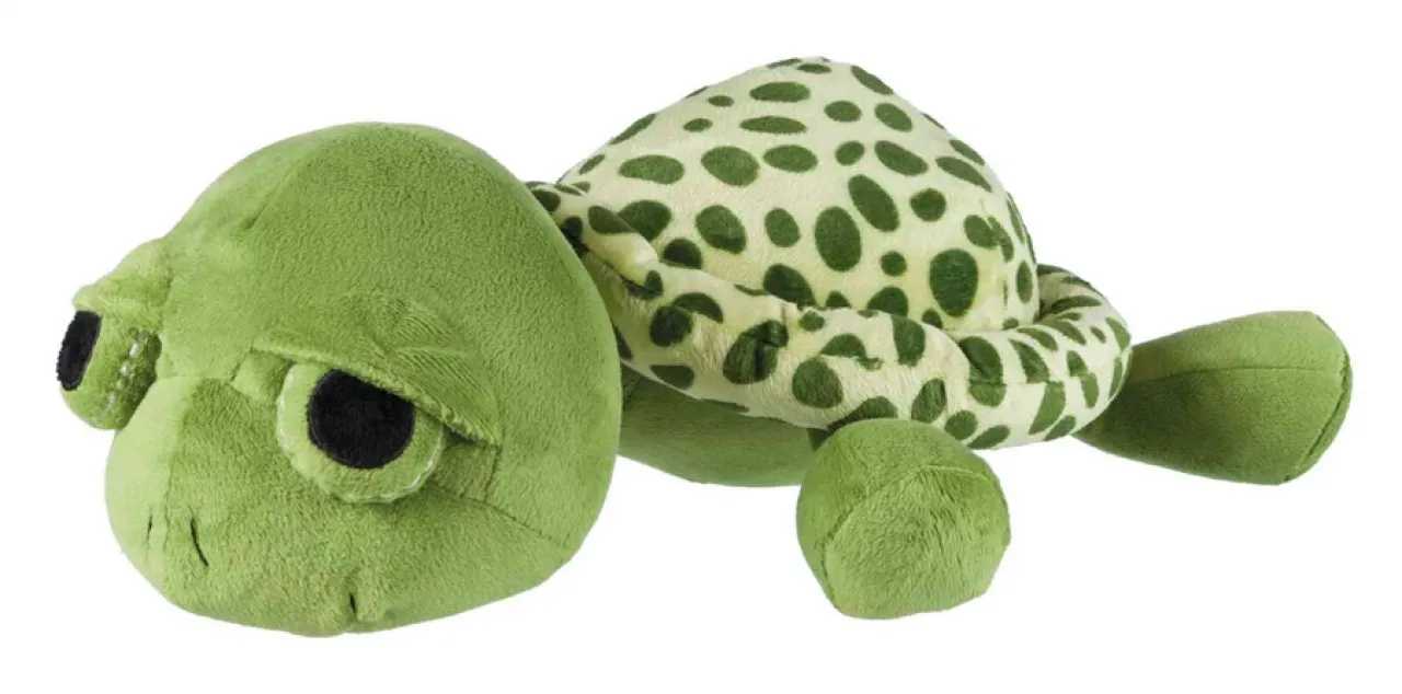 Schildkröte