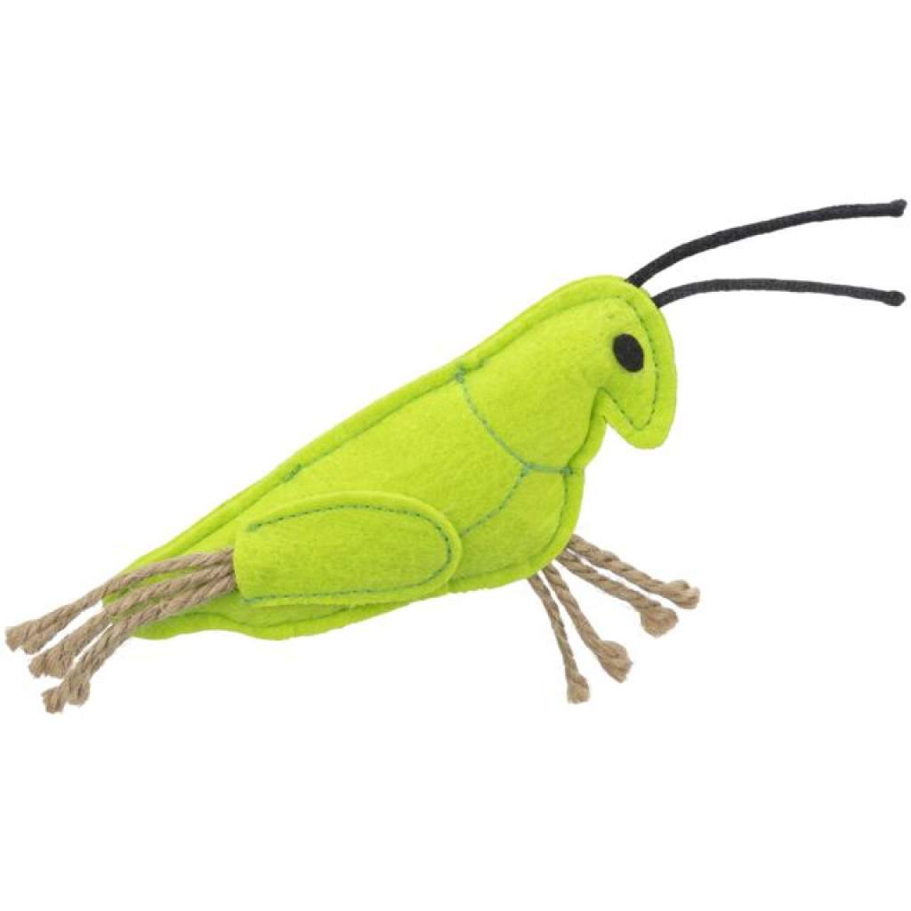 Insekten