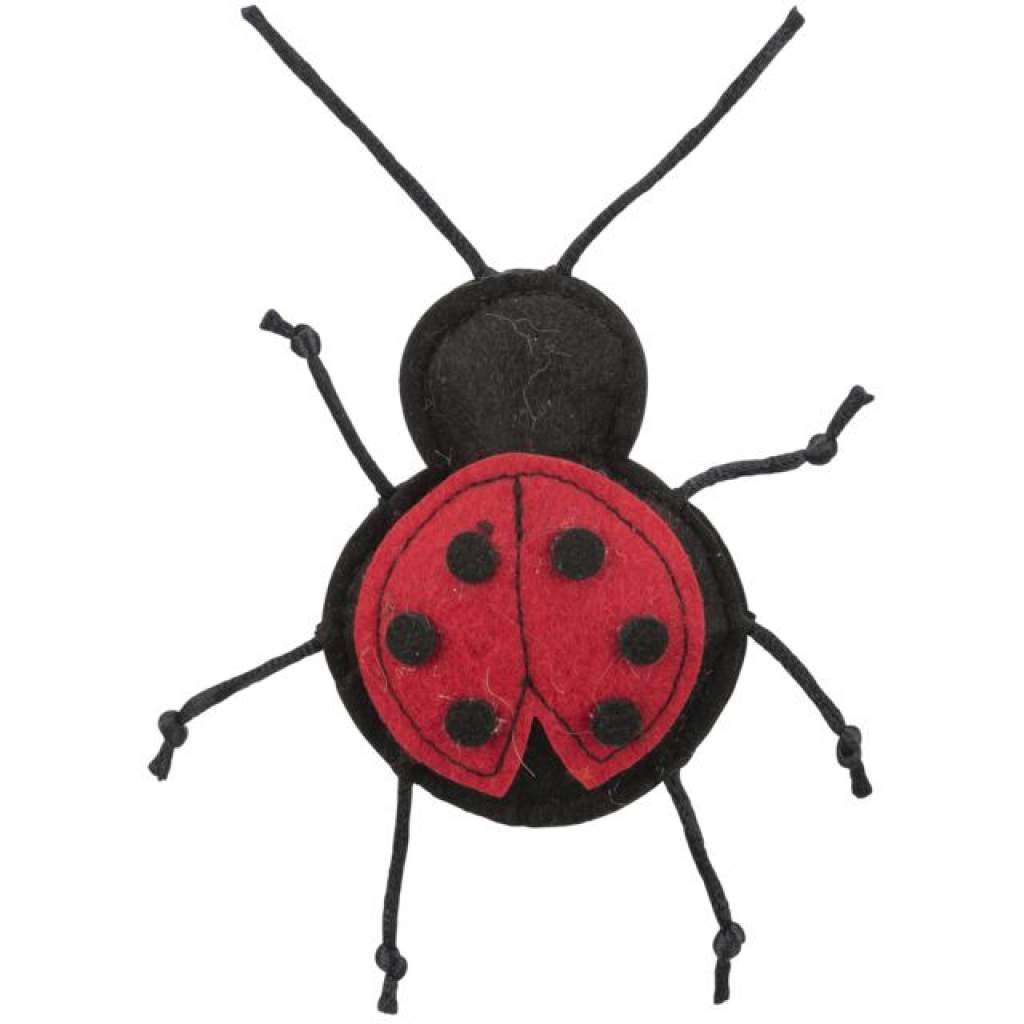 Insekten