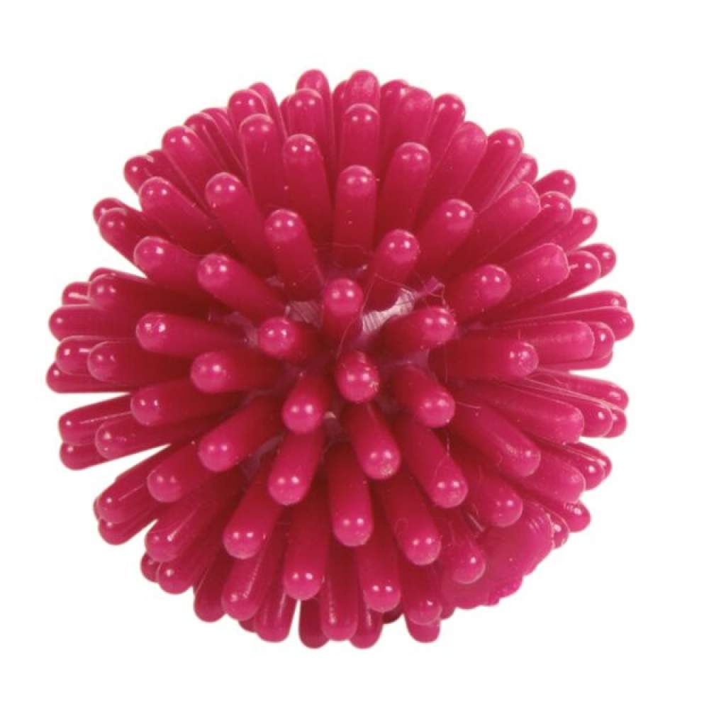 Igelball