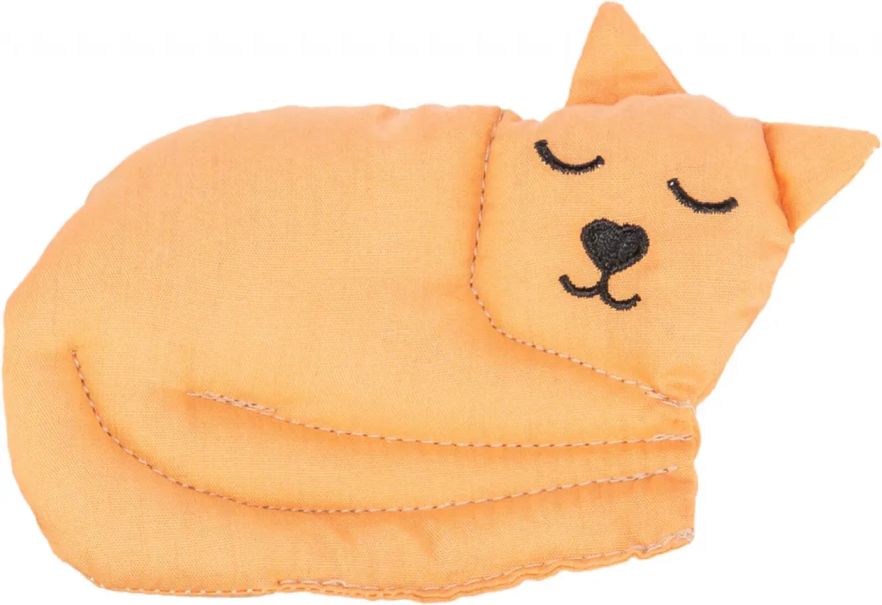 Katze
