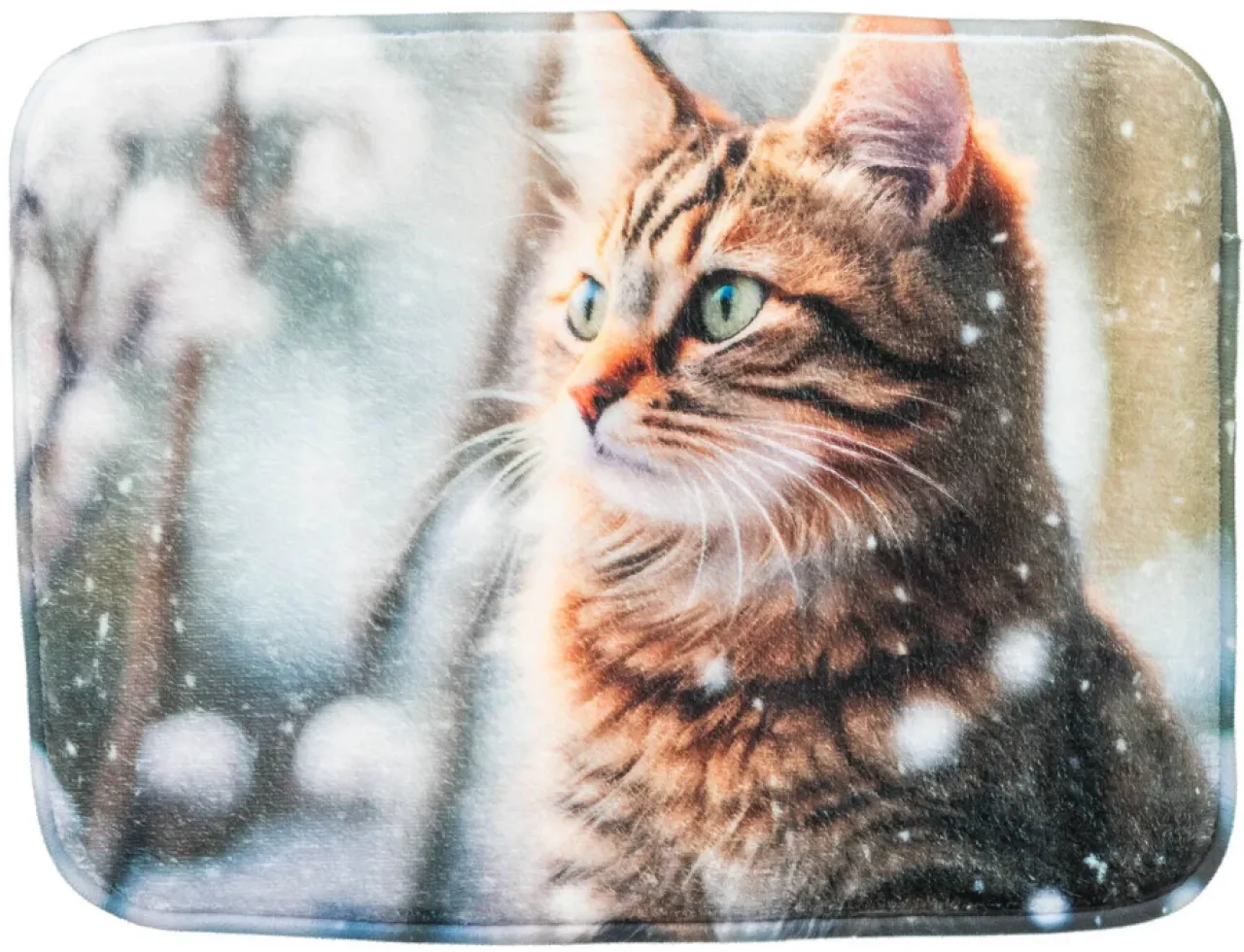 Liegematte Katze