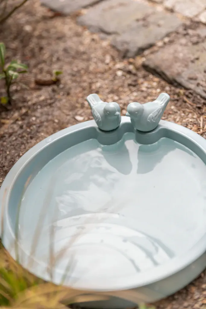 Vogeltränke zum Hinstellen