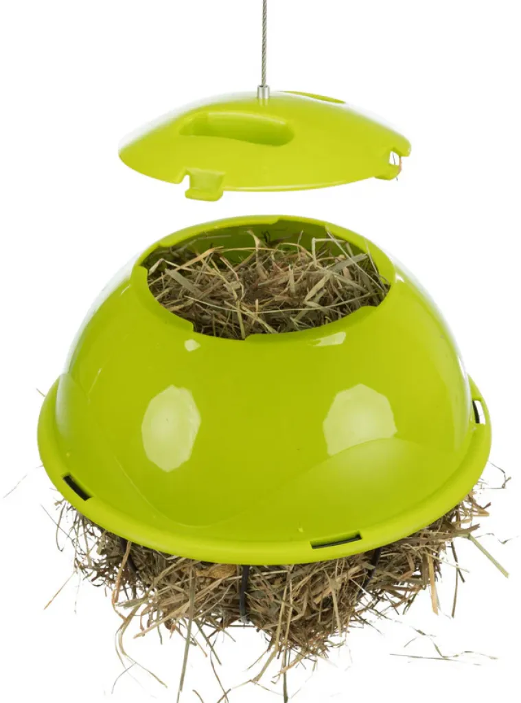 Food-Ball