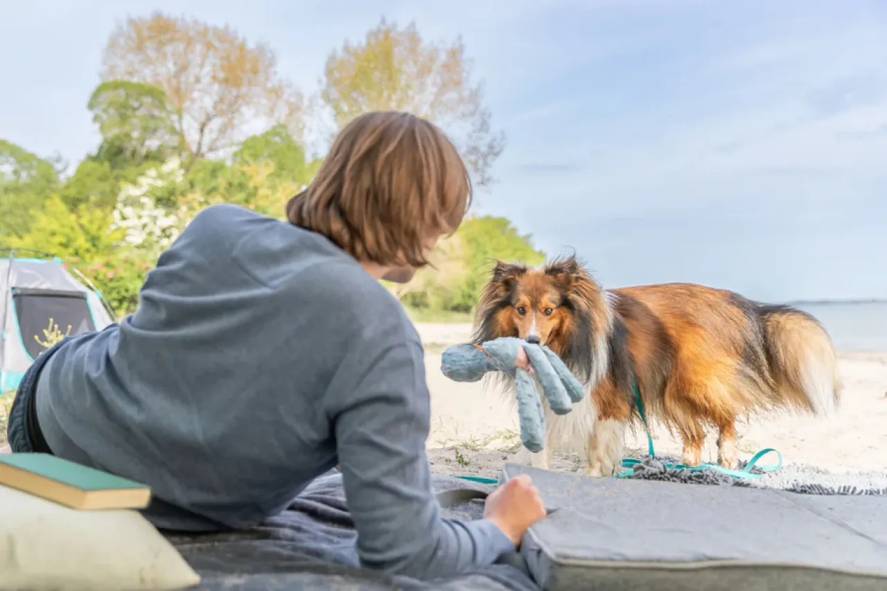 Hundeplüschtier Knisterdino