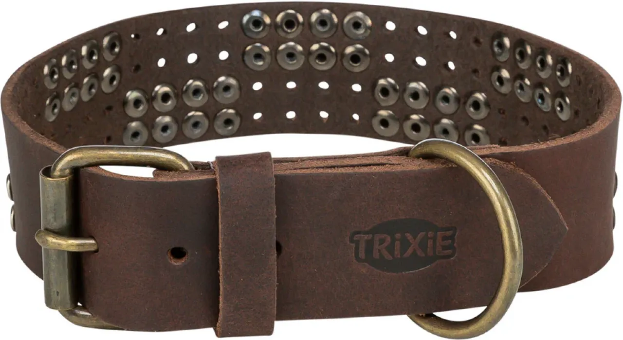 Rustic Fettleder-Halsband Nieten, extra breit