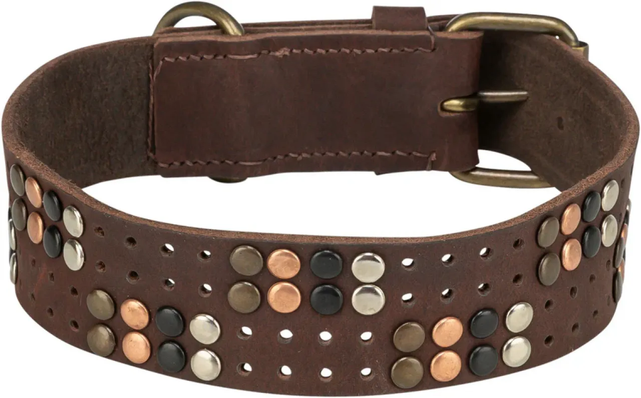 Rustic Fettleder-Halsband Nieten, extra breit