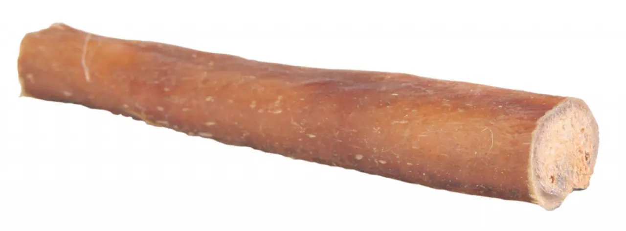 Ochsenziemer