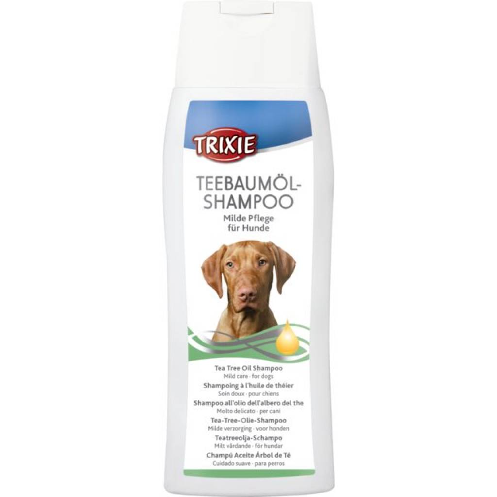 Teebaumöl-Shampoo