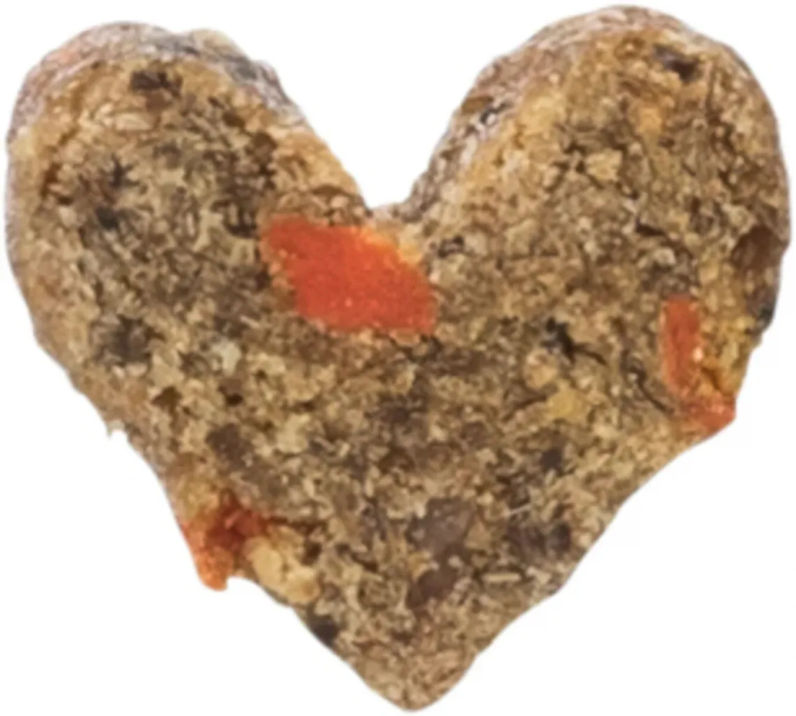 Insect Hearts