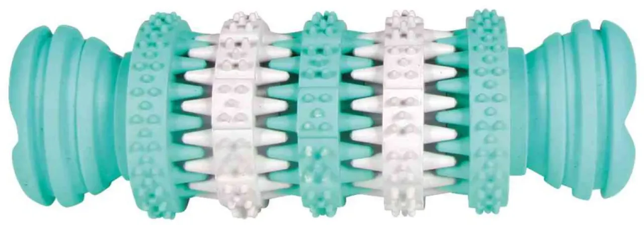 Denta Fun Knochen