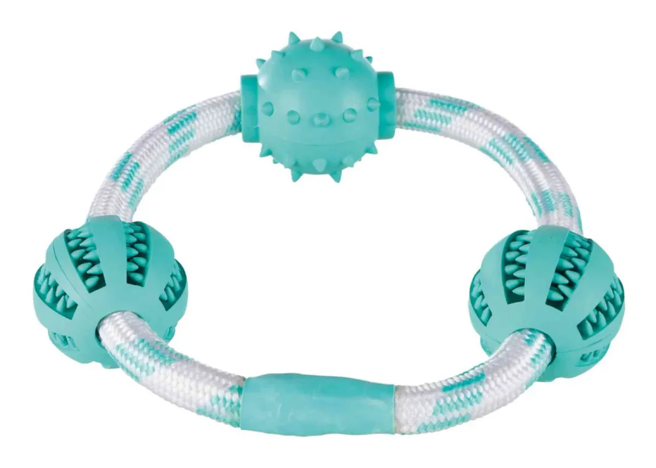 Denta Fun Seilring mit Bällen