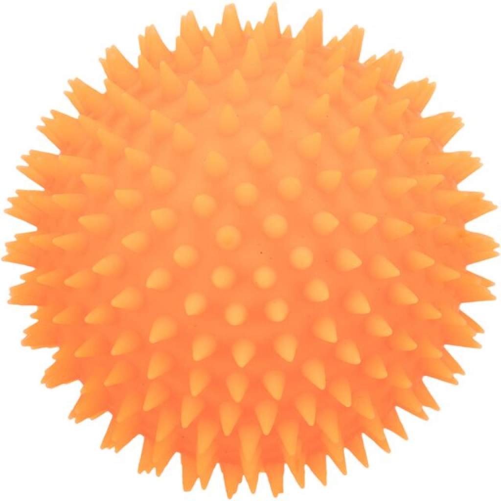 Igelball Hundespielzeug