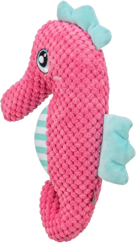Seepferdchen