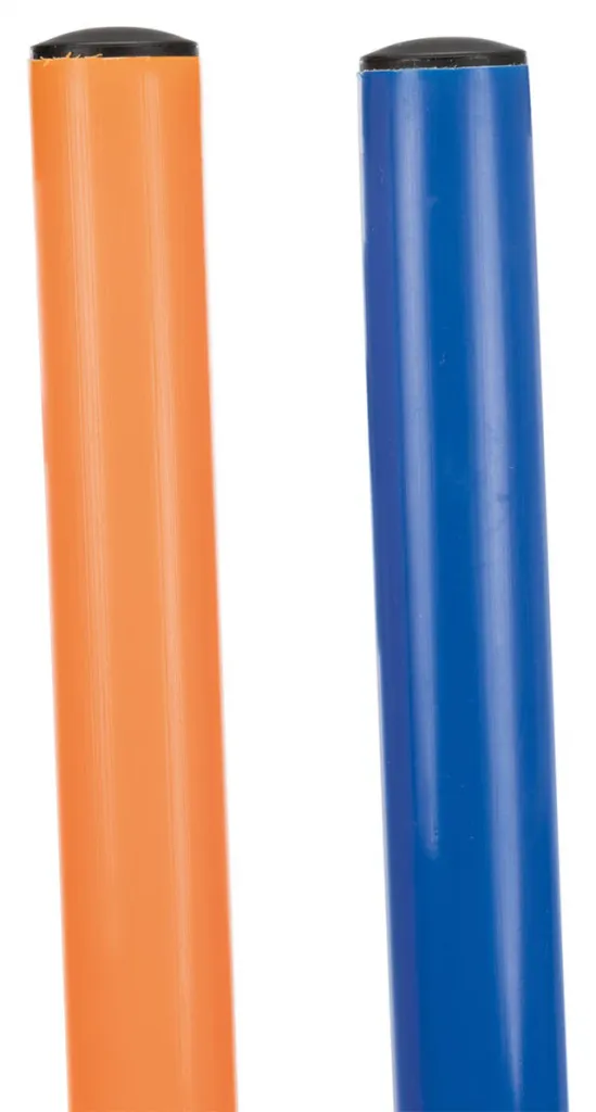 Fun Agility Slalom