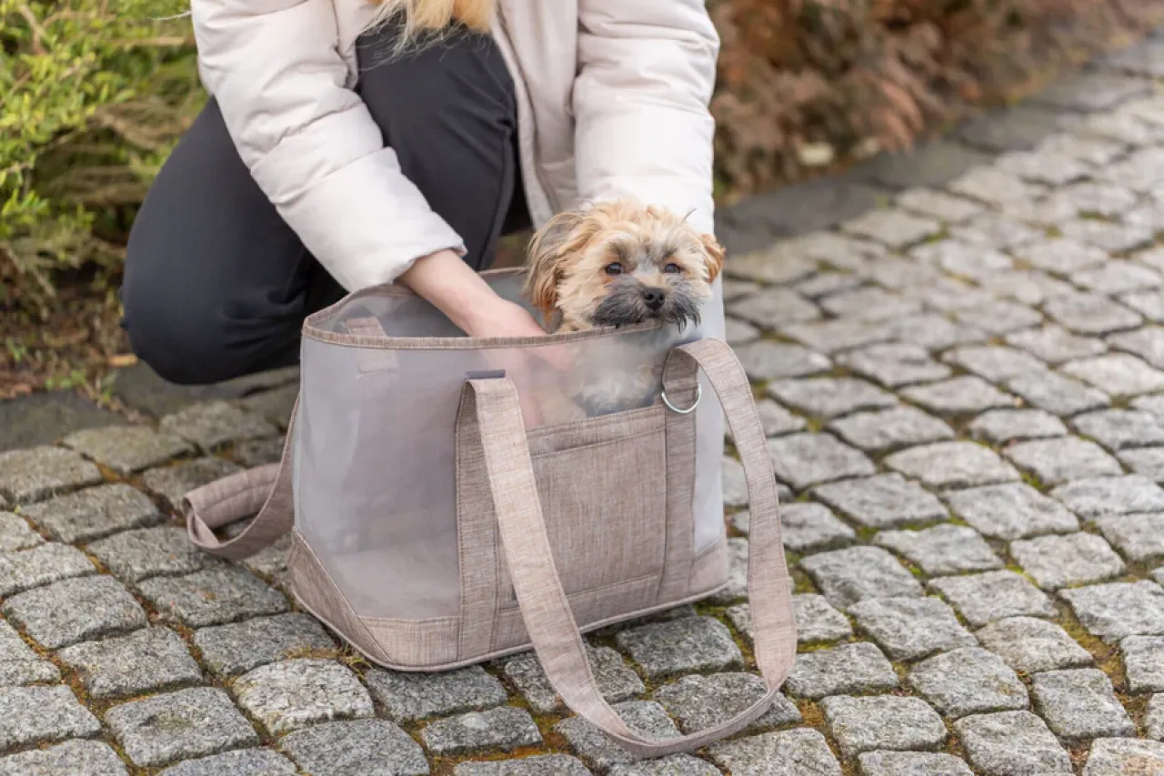 Tasche Mary
