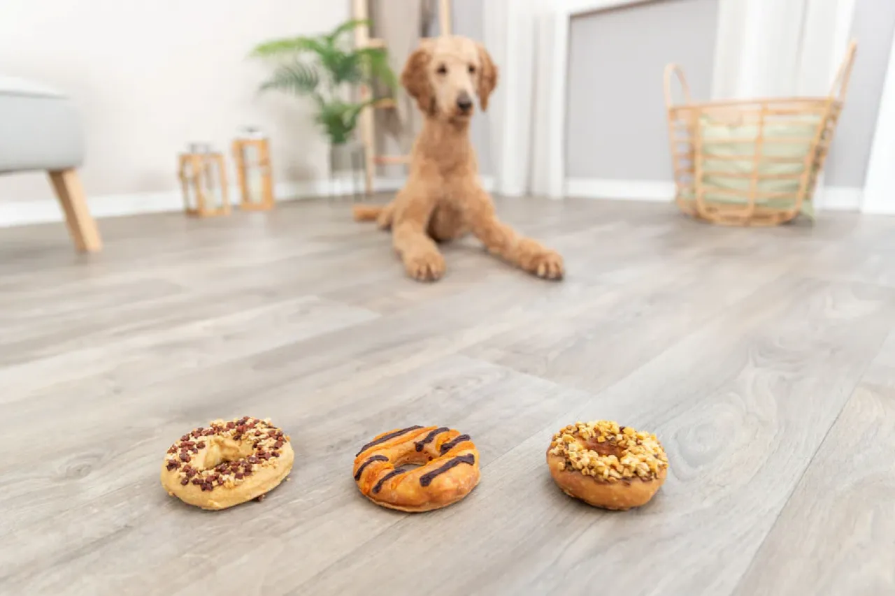 Donuts