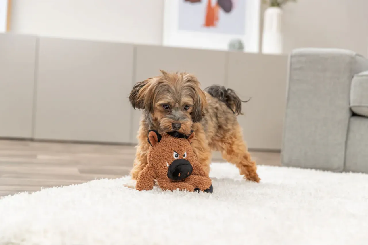 Hundeplüschtier Monster