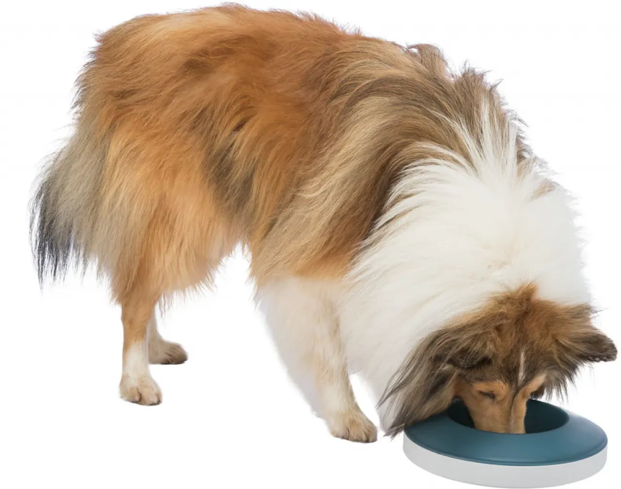 Slow Feeding Napf Rocking Bowl