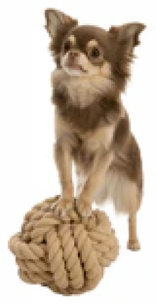 BE NORDIC Tau-Ball für Hunde