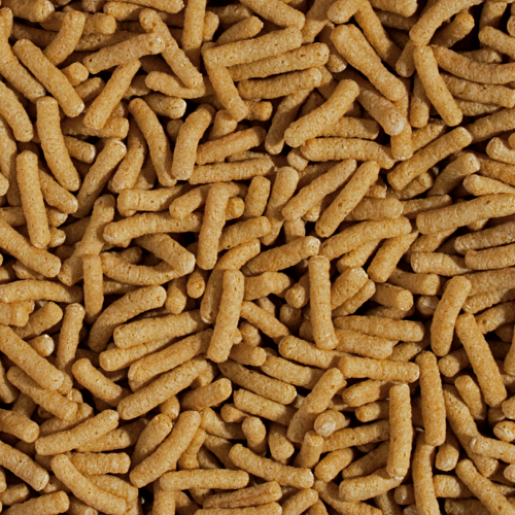 Koi & Goldfish Wheat Germ & Garlic Sticks
