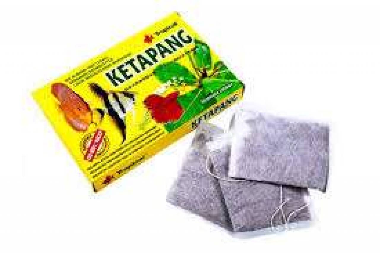Ketapang
