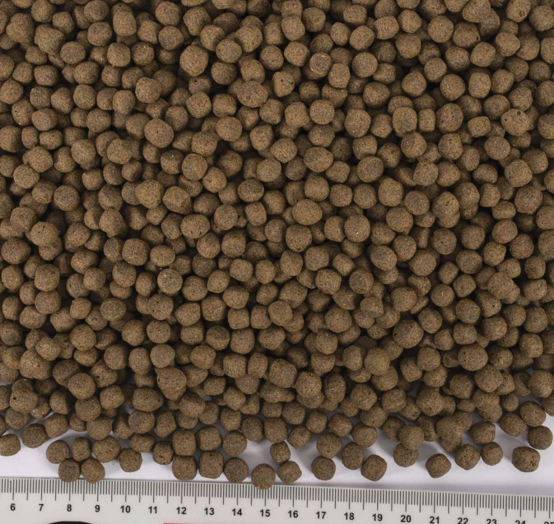 Koi Wheat Germ & Garlic Pellet Size "M" & "L"