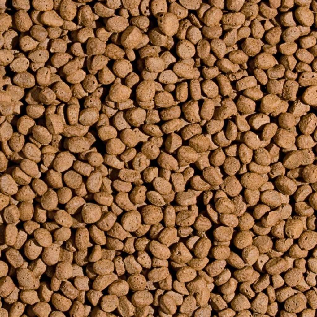 Koi Probiotic Pellet Size "M" & "L"