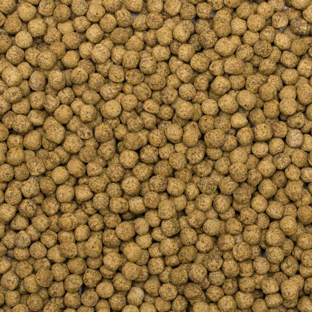 Koi Silkworm & Astaxanthin Pellet Size "M" & "L"
